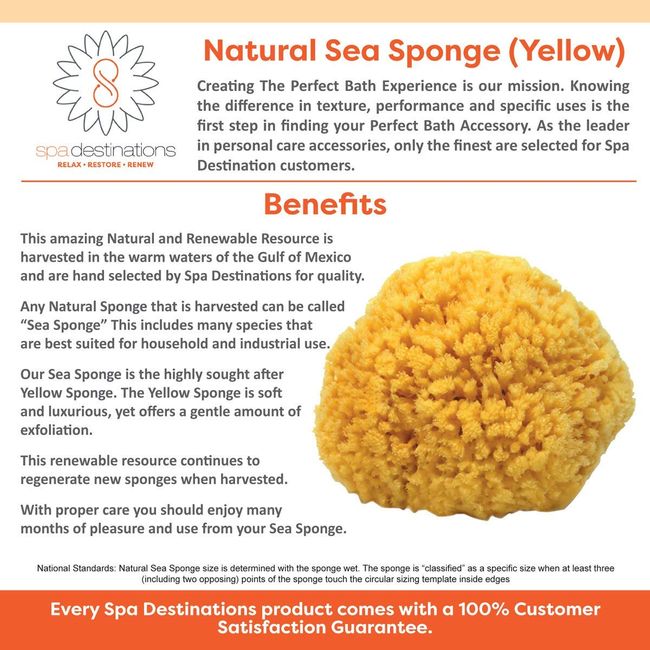 All Natural Sea Sponge (4-5inch)