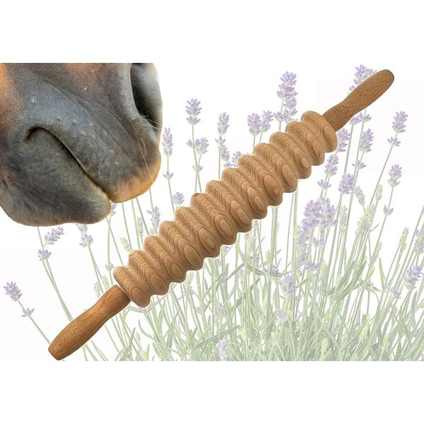 LaziRoll® 4d - Faszienrolle Pferd/Hund/Mensch Aromatherapie (groß gerillt) (Rosmarin)