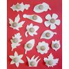 Major Brushes Leaf/Flower Templates Set of 14
