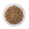 Organic Coriander Seed  1 Lb By Starwest Botanicals