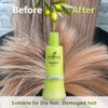 Chihtsai Olive Shampoo, 280ml