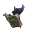Nemesis Now Kitty's Grimoire (Green) 8.2cm