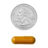 Spring Valley Turmeric Curcumin with Ginger 500mg, 90 Capsules – Joint Support