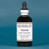 Pure Herbs: Hyssop - 4 oz.