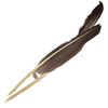 Hand-cut Goose Quills, two feathers