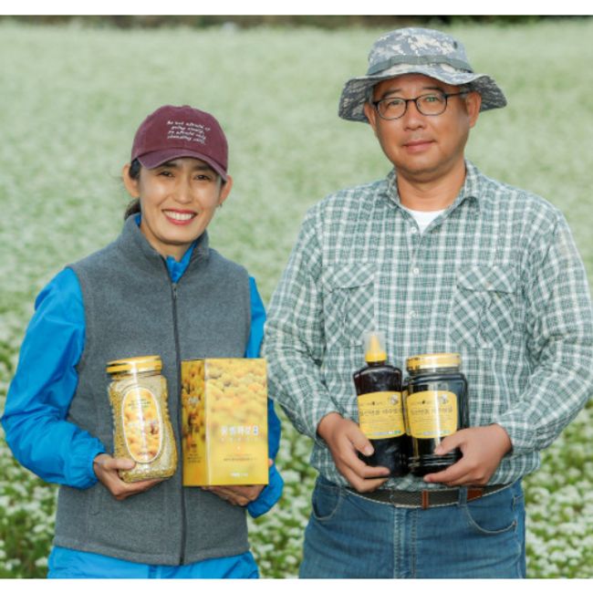 [Malseon Farm] Jeju Island Buckwheat Honey Citrus Honey Wheeled House Honey, 1ea