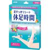 lion vacation time 18 sheets