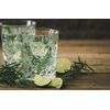 JOCHEN SCHWEIZER Gift Voucher: Gin Seminar Munich (for Beginners)