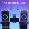 Karaoke Machine with 2 Wireless Microphones, Portable Bass/Treble Bluetooth Spea