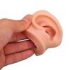 Piercing Practice Model, Reusable Elastic Teaching Aids Soft Piercing Practice Model with Base for Hospital (Light Skin Color)