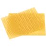 Bordhap 50PCS Beekeeping Hive Beekeeping Honeycomb Foundation Frame Hive Garden Hive Beekeeping Tools