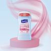 Suave Deodorant Antiperspirant & Deodorant Stick 48-hour Odor and Wetness Protection Powder Deodorant for Women 2.6 oz 2 Count