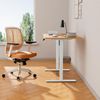 Electric Stand up Desk Frame,4 Memory Height Settings Height Adjustable Table Le