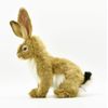 Jack Rabbit Blacktailed Plush Toy By Hansa 8"