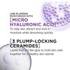 L'Oreal Paris Revitalift Micro Hyaluronic Acid + Ceramides Anti Aging Face Cream for Women, Fragrance Free + Serum Samp