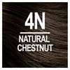 NATURTINT Natural Chestnut (4N) 5.6 OZ