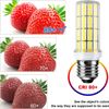 LED Corn Light Bulb 2500 Lumen 4 Pack 5000k E26/E27 for Home Garage