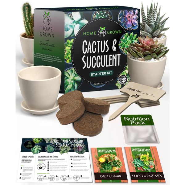 HOME GROWN Succulent & Cactus Seed Kit for Planting – [Enthusiasts Favorites] Premium Cactus & Succulent Starter Kit: 4 Planters, Drip Trays, Markers, Seeds Mix, Soil - DIY Gift Kits