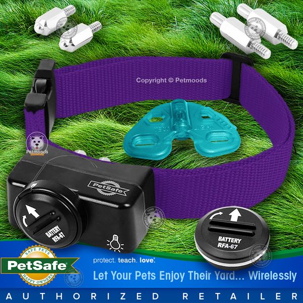 PetSafe PIF-275-19 Wireless Pet Fence Dog Collar Receiver PIF-300 Purple Strap