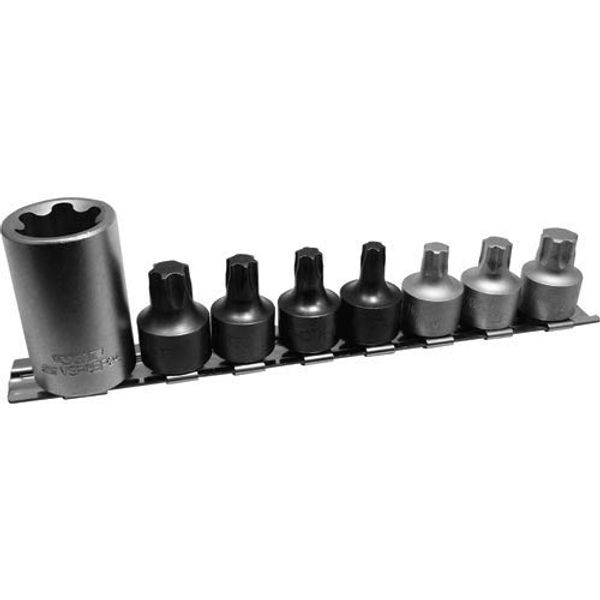 Torx Truck Bed Set