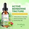 (2 PACK)  Berberine Plus Organic Ceylon Cinnamon Natual Extract Supplement