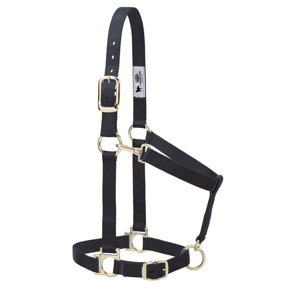 Weaver Leather Basic Adjustable Nylon Halter, Black, 1" Small Horse