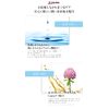DE Liquid Eyeliner, Dark Brown/Waterproof, Long Lasting, Hot Water, Extra Fine Bristles, Beginners, Beauty Ingredients, Eyelash Care