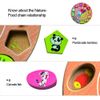 Itian Wooden Shape Sorting Clock / Wooden Clock with Numbers and Shapes Sorting Blocks