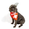 Midlee Shark Dog Headband Costume