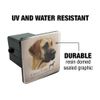 GRAPHICS & MORE Great Dane Dog Breed Tow Trailer Hitch Cover Plug Insert