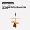 L'Oréal Professionnel Scalp Advanced, Professional Clay Anti-Oiliness 2-in-1 Deep Purifier Shampoo and Hair Mask, For Oily and Greasy Hair, Serie Expert, 250ml