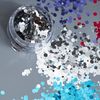 Moon Glitter Classic Chunky Glitter Silver