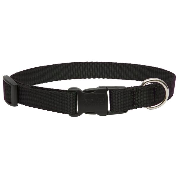 Lupine Collars & Leads 27501 3/4" X 9" To 14" Adjustable Black Dog Collar