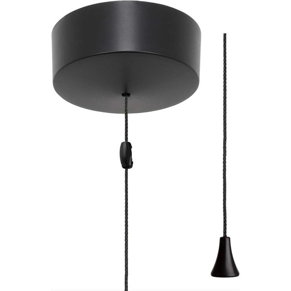 Modern Bathroom Ceiling Light Finished In Matt Black Switch With Black Pull Cord And Toggle - 6A 2-Way