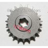 Drive Sprocket V 19 Teeth, BF05T  8mm Chain  for 2-stroke engines