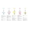 LEBODY LAB Renewal Dual Effect IDEBENONE - 1.01 fl.oz. (30ml)