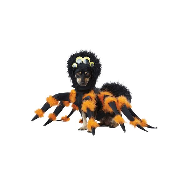 Spider Pup Costume Large