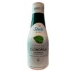 Sheló NABEL Concentrated Liquid Chlorophyll 16.90 FL OZ