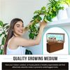 Compressed Coco Coir 1.4 LBS  Brick Coconut Soil with Low EC & PH Balance