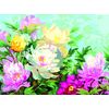 PAINT BY NUMBERS FLOWERS - INTERHOME
