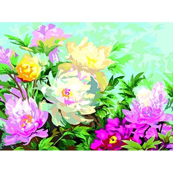 PAINT BY NUMBERS FLOWERS - INTERHOME