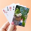 CafePress Terra Cotta Gnome Standard Size Playing Cards