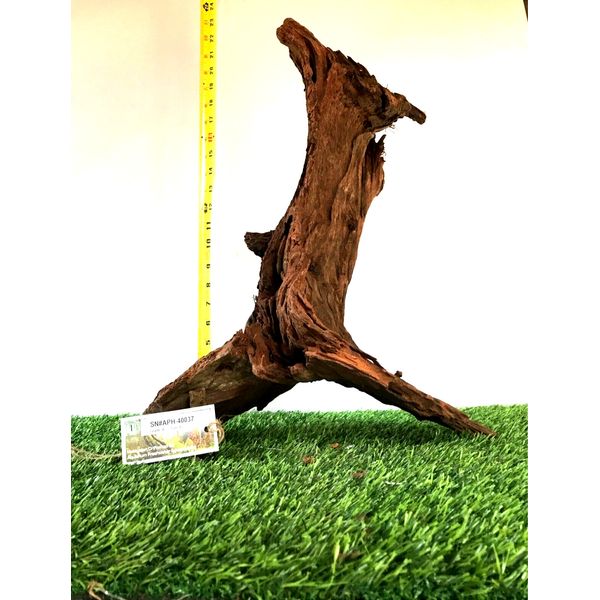 Malaysian Driftwood for Aquarium Fish Tank Reptile Natural Pet Safe -XL 22x14x10