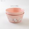 Minoru Pottery [PLANTAREE-] 130 Pack Bowl Pink