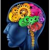 ginkgo biloba extract - BRAIN & MEMORY BOOSTER Complex - memory supplement