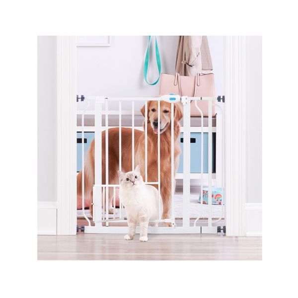 Carlson Extra Wide Walk Through Pet Gate with Small Pet Door, Includes 4-Inch...