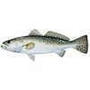 Fish Stix - Speckled Trout Decal