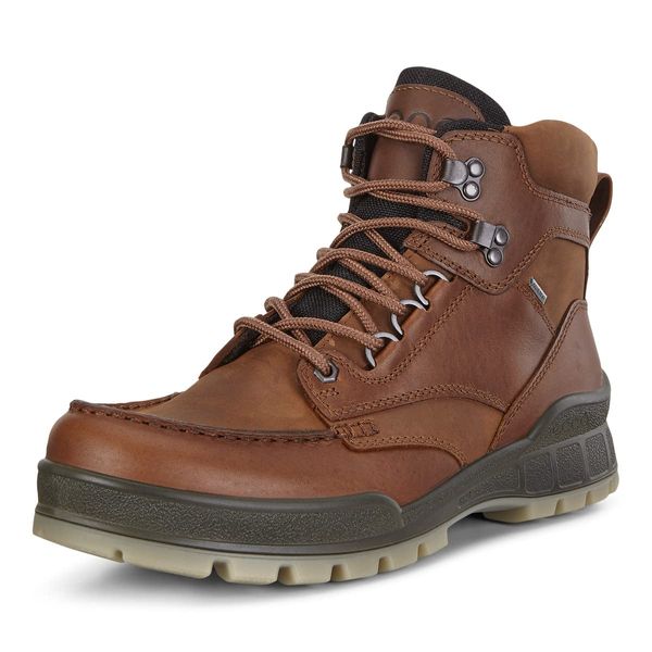 ECCO mens Track 25 High Gore-tex Hiking Boot, Bison/Bison Oil Nubuck, 10-10.5 US