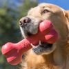 KONG Goodie Bone Dog Toy, Small, Red