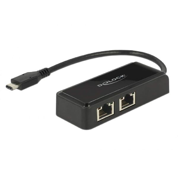 DeLock Adapter USB 3.0 Type-C > 2 x Gigabit LAN RJ45